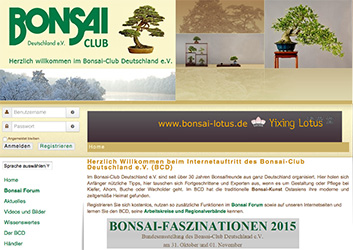 bonsaiclubdeutschland